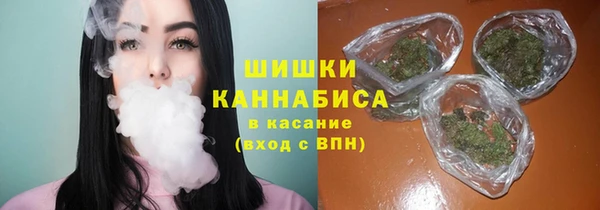 ПСИЛОЦИБИНОВЫЕ ГРИБЫ Бронницы