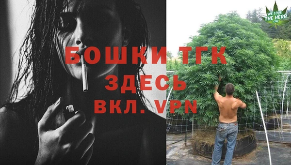ПСИЛОЦИБИНОВЫЕ ГРИБЫ Бронницы
