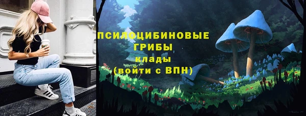 ПСИЛОЦИБИНОВЫЕ ГРИБЫ Бронницы